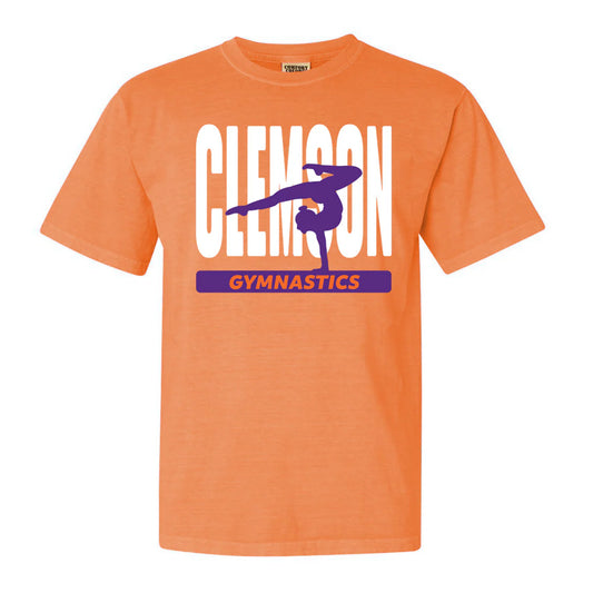 CU Balance Beam - (Multiple Colors)