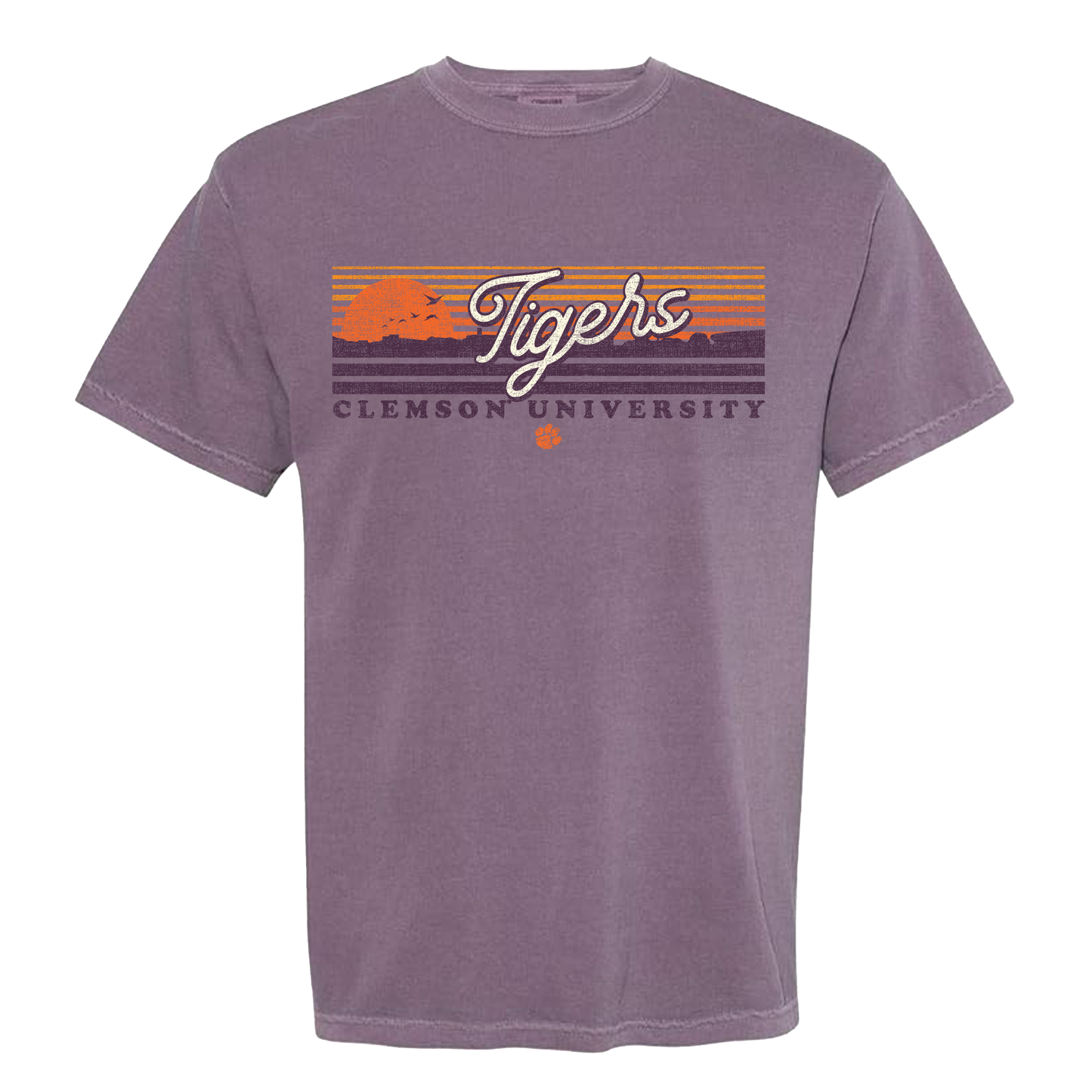 Above the Clemson Horizon