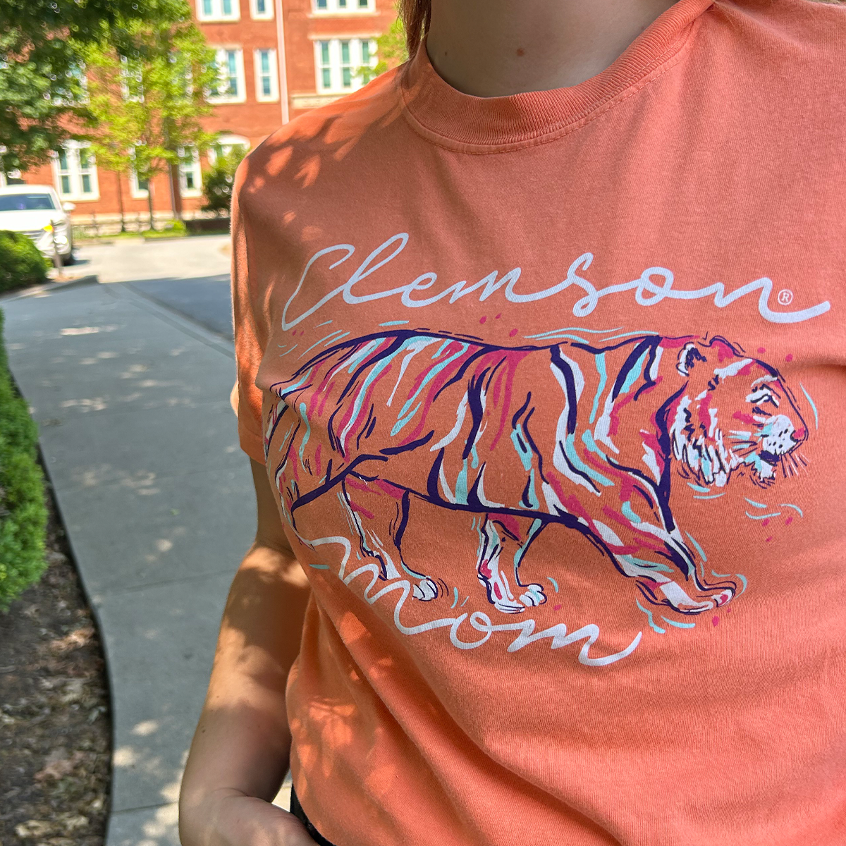 Clemson Relatives