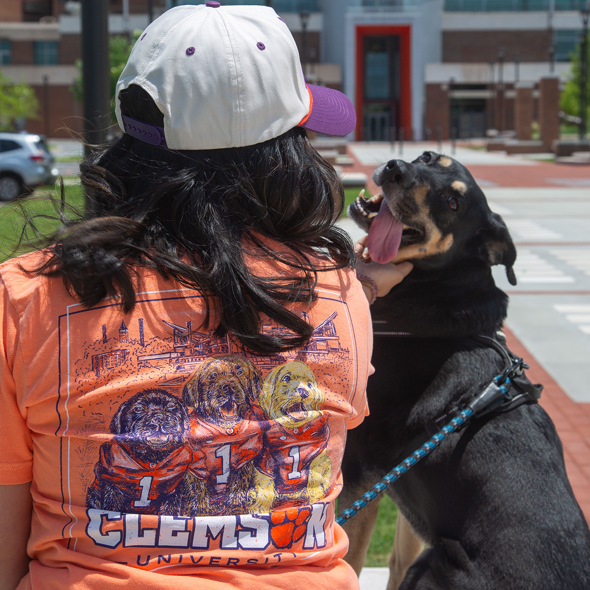 Clemson Dogs