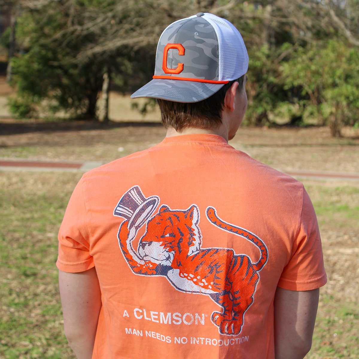 Vintage Tigers Collection