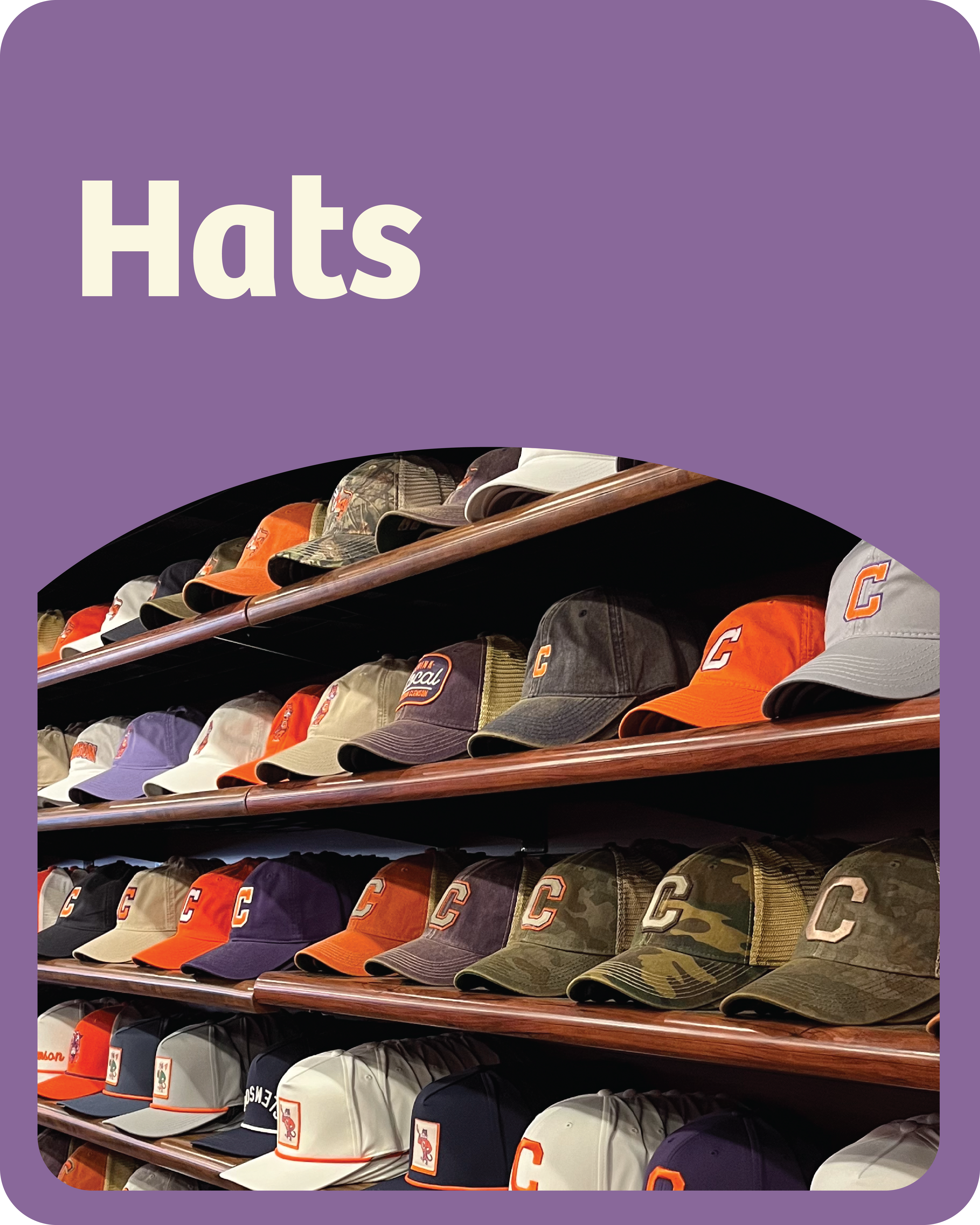 Hat Collection – Tigertown Graphics