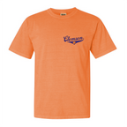 Paws & Stripes Forever - (Multiple Colors)