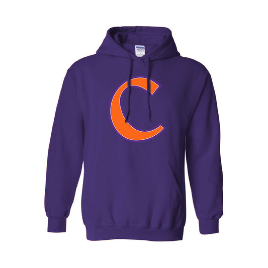 Baseball C Hoodie- Youth( Pre-Order)