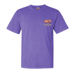 Groovy Clemson
