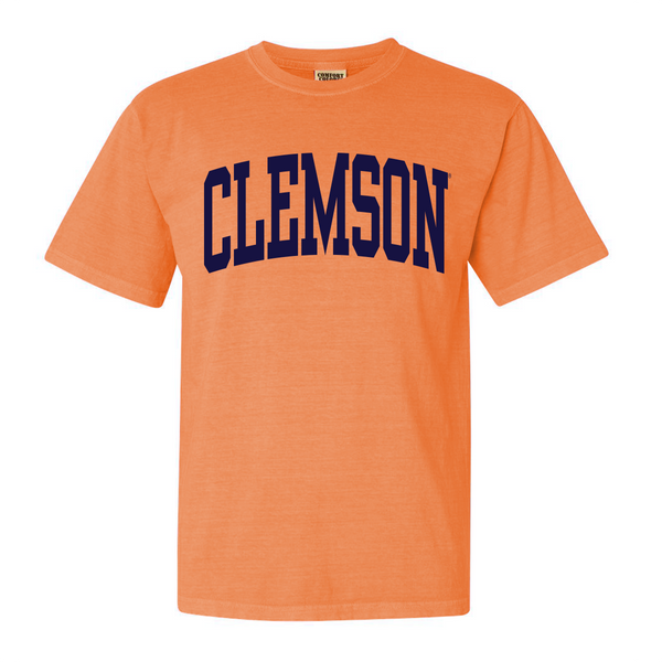 Clemson Tall Arch Stadium Crew (Multiple Colors) - Tigertown Graphics