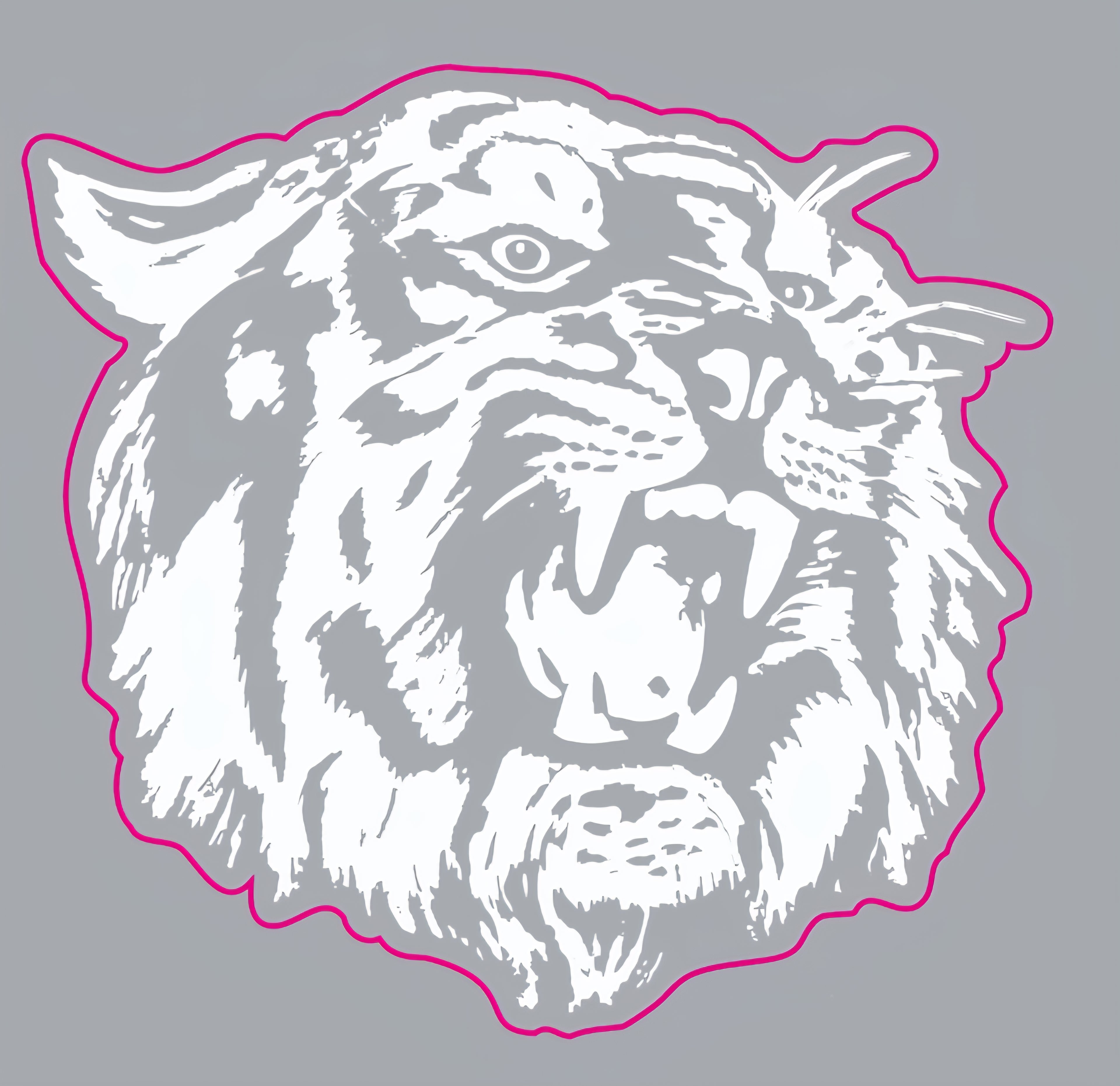 Clemson Phys Ed Decal