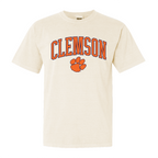 Clemson Arch- (Multiple Colors)
