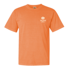 Clemson Since 1889- (Multiple Colors)