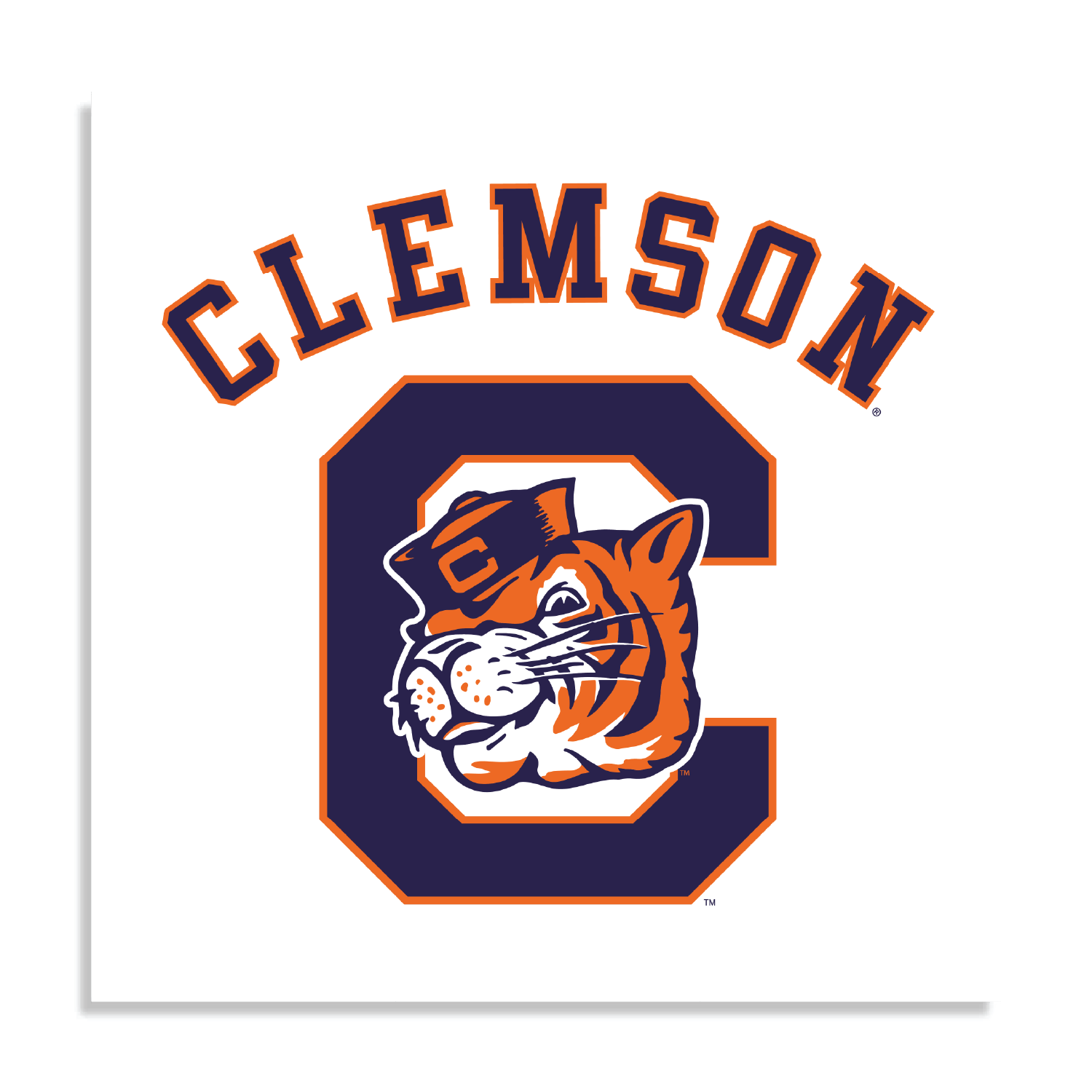 Block C Tiger Poster