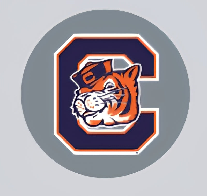 1" Block C Tiger Button