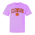 Clemson Arch- (Multiple Colors)