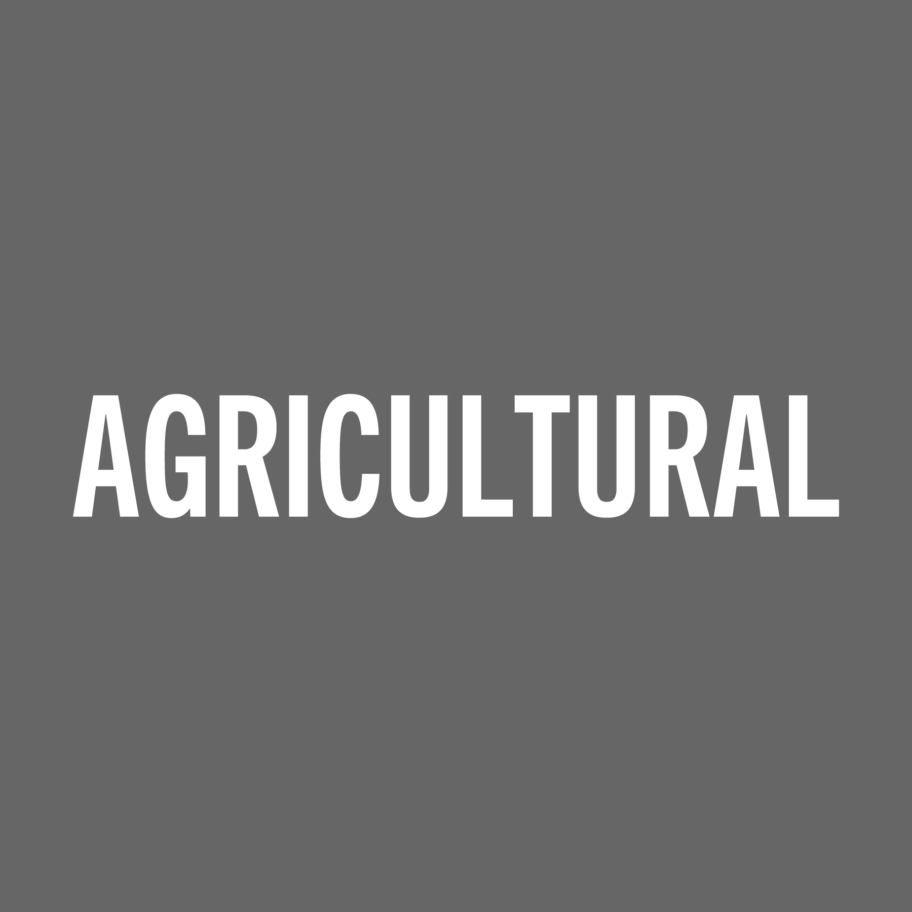 Choose Your Major Decal - Multiple Majors