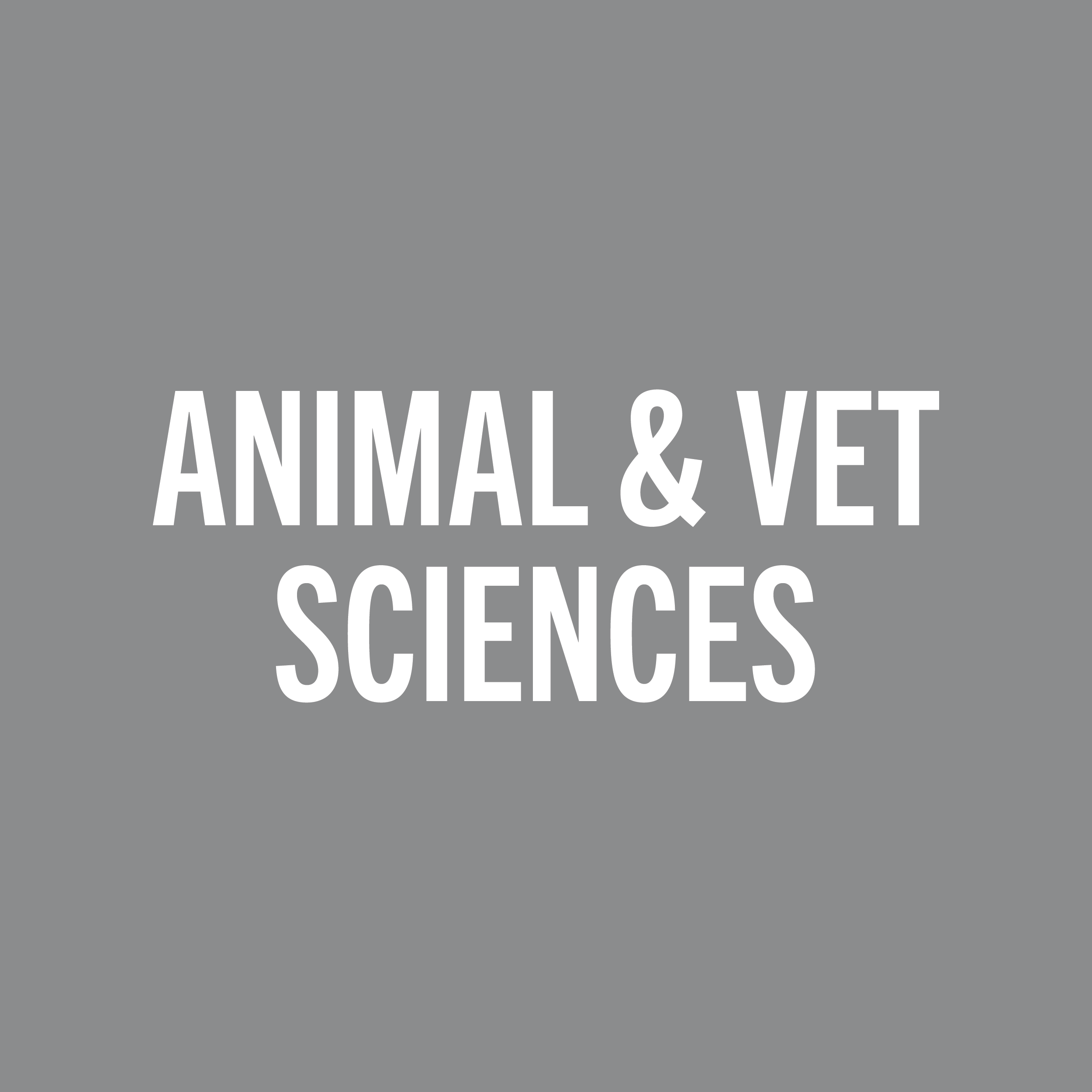 Choose Your Major Decal - Multiple Majors