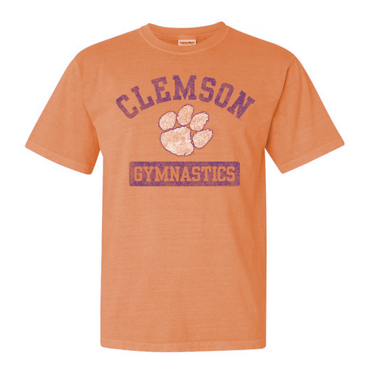 Vintage Clemson Gymnastics