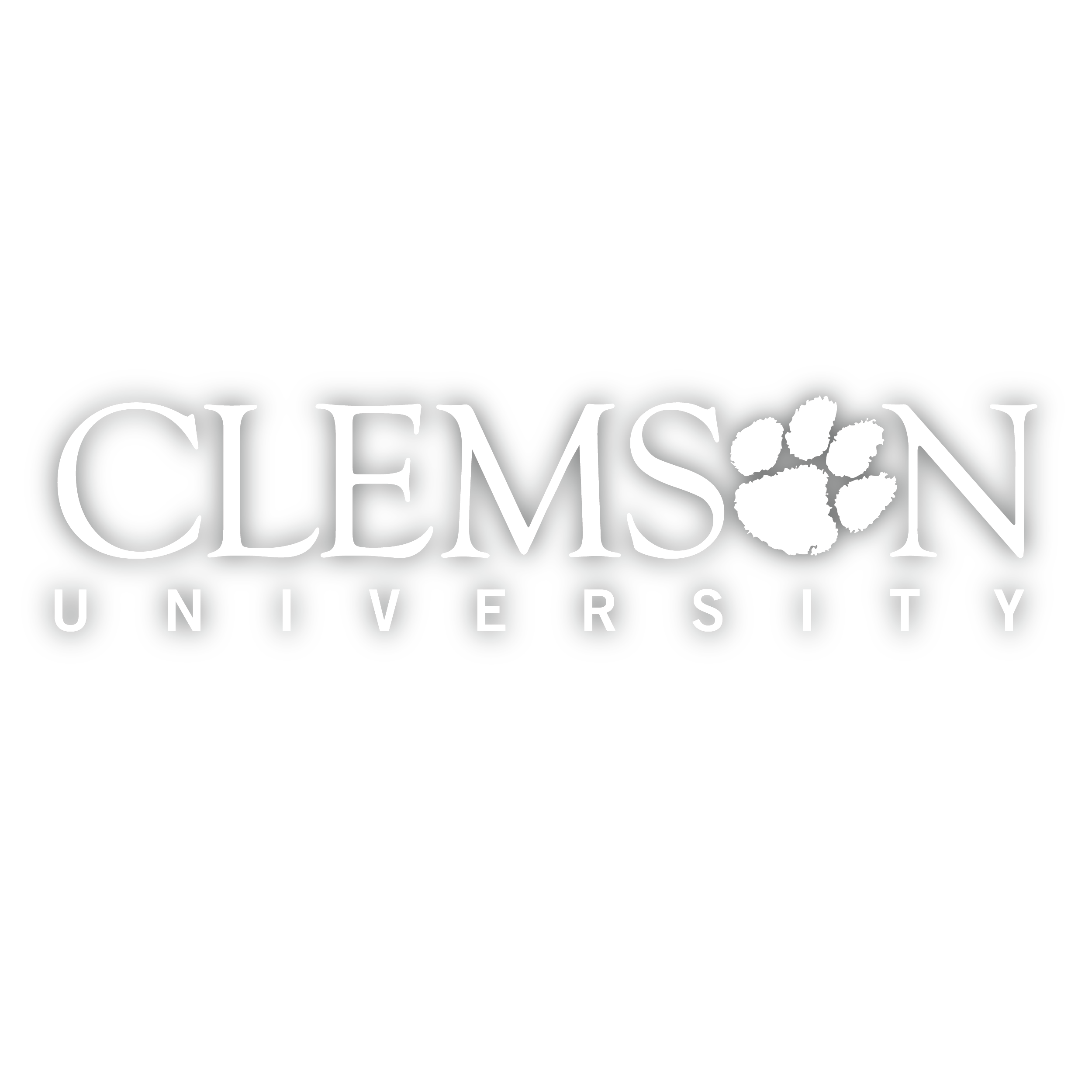 Clemson University Wordmark Decal - (Multiple Colors)